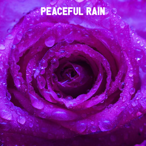 The Talk of the Rain