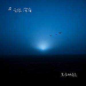黑夜映南去
