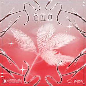 含羞草（Mimosa）