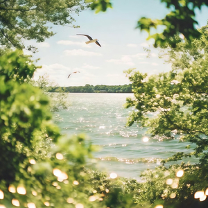 关于夏天我想它是柠檬气泡炸开的清脆