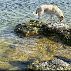 передатчик мертв