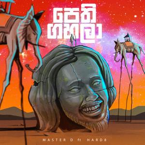 Pethi Gahala (feat. Hard8)