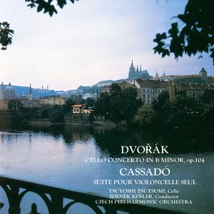 Concerto for Cello and Orchestra in B Minor, Op. 104, B. 191:II. Adagio ma non troppo
