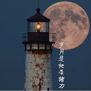 岁月是把杀猪刀