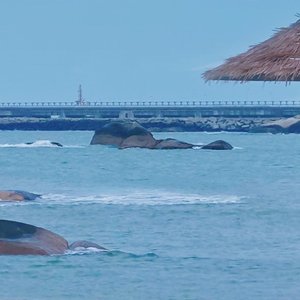 逐浪谣
