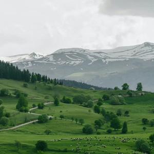 让我一次爱个够