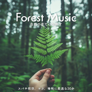 瞑想ソルフェジオ -Healing Forest- (寝落ちのピアノの森 α波→θ波→δ波)