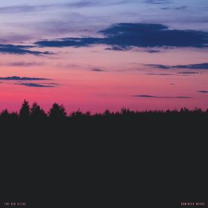 Toxins (feat. Dominick Weeks)