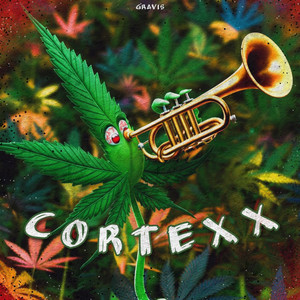 Cortexx