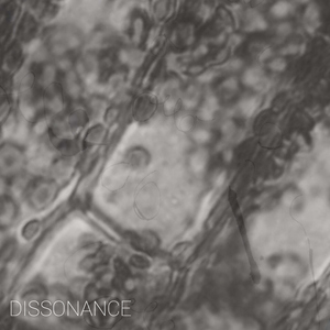 Dissonant