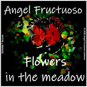 Flowers in the meadow