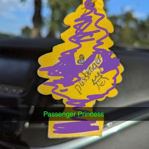 Passenger Princess