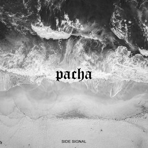 Pacha