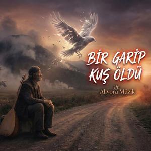 Bir Garip Kuş Öldü