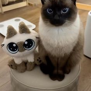 The Next Best American Record (slowed)