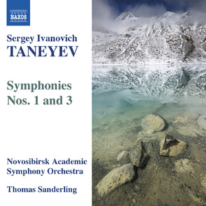 Symphony No. 3 in D Minor:I. Allegro con spirito