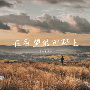 在希望的田野上