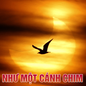 Đêm Hồ Gươm