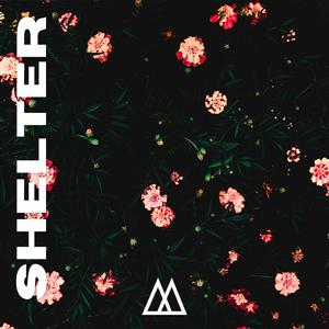 Shelter