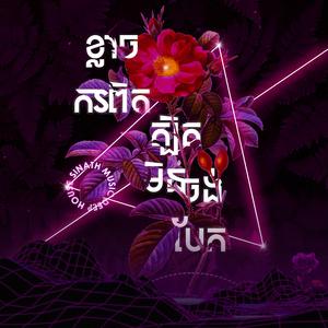 ខ្លាចការពិតត្បិតមិនចង់បែក (Remix)