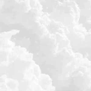 沈以诚-狂恋你（包子 remix）