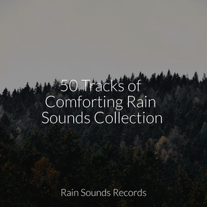 Feathered Fields' Dance