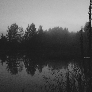 Shumilo Oranjevoy Beresty