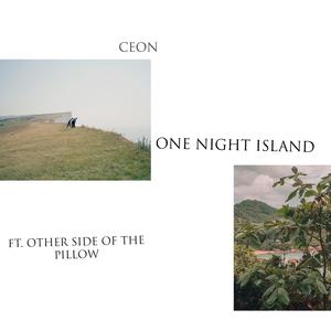 One Night Island (feat. Other Side of the Pillow)