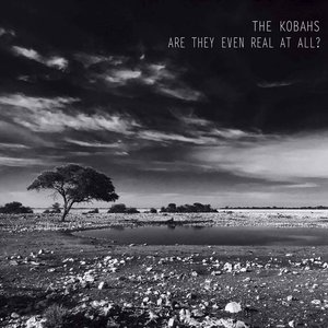 Are They Even Real at All?