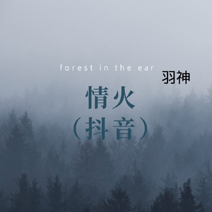 情火（抖音热播版）