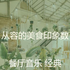 一尘不染餐馆印象数