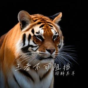 王者不可阻挡