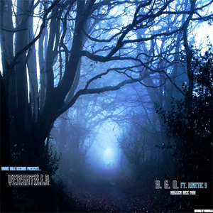 D.G.O. (Killer Bee Mix) [feat. Kinetic 9]