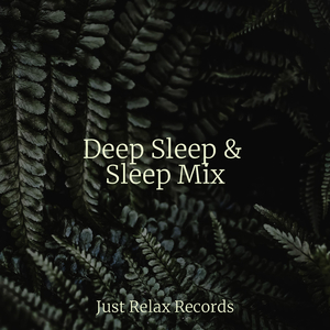 Tranquil Trail of Transformation