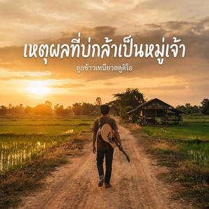 เหตุผลที่บ่กล้าเป็นหมู่เจ้า