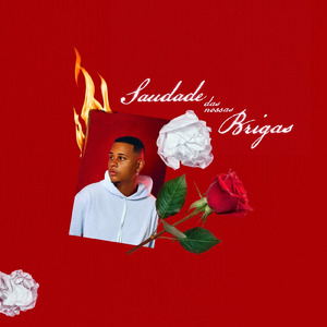 Saudades das Nossas Brigas