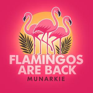 Flamingos are back