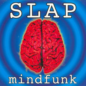 Mindfunk (Remix)