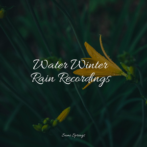 Rain, Vegetation, Wood, Heavy Wind