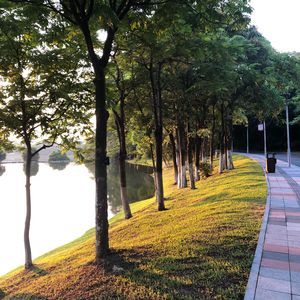 删除(Prod. Bvlloon)