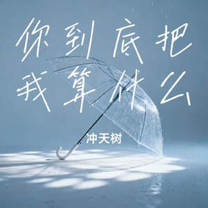 你到底把我算什么