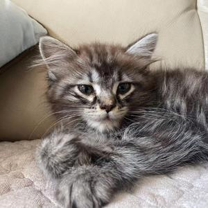 想要把你留在这里（翻自 Jony J）