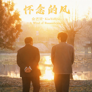 怀念的风