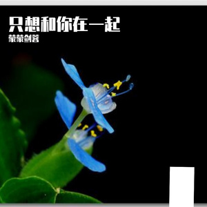 认真地喜欢一个人