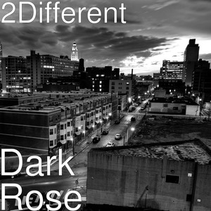 Dark Rose