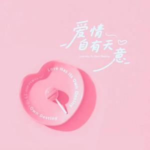 爱情自有天意 (DJx0.9倍速版)