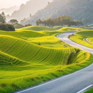 新鲜感是幸福倒计时