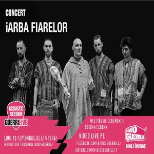 De-a lungu' (Live at Guerrilive Acoustic Session)