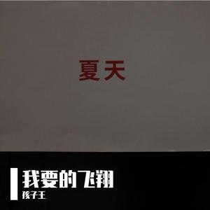 我要的飞翔（翻自 许飞）