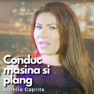 Conduc Masina Si Plang